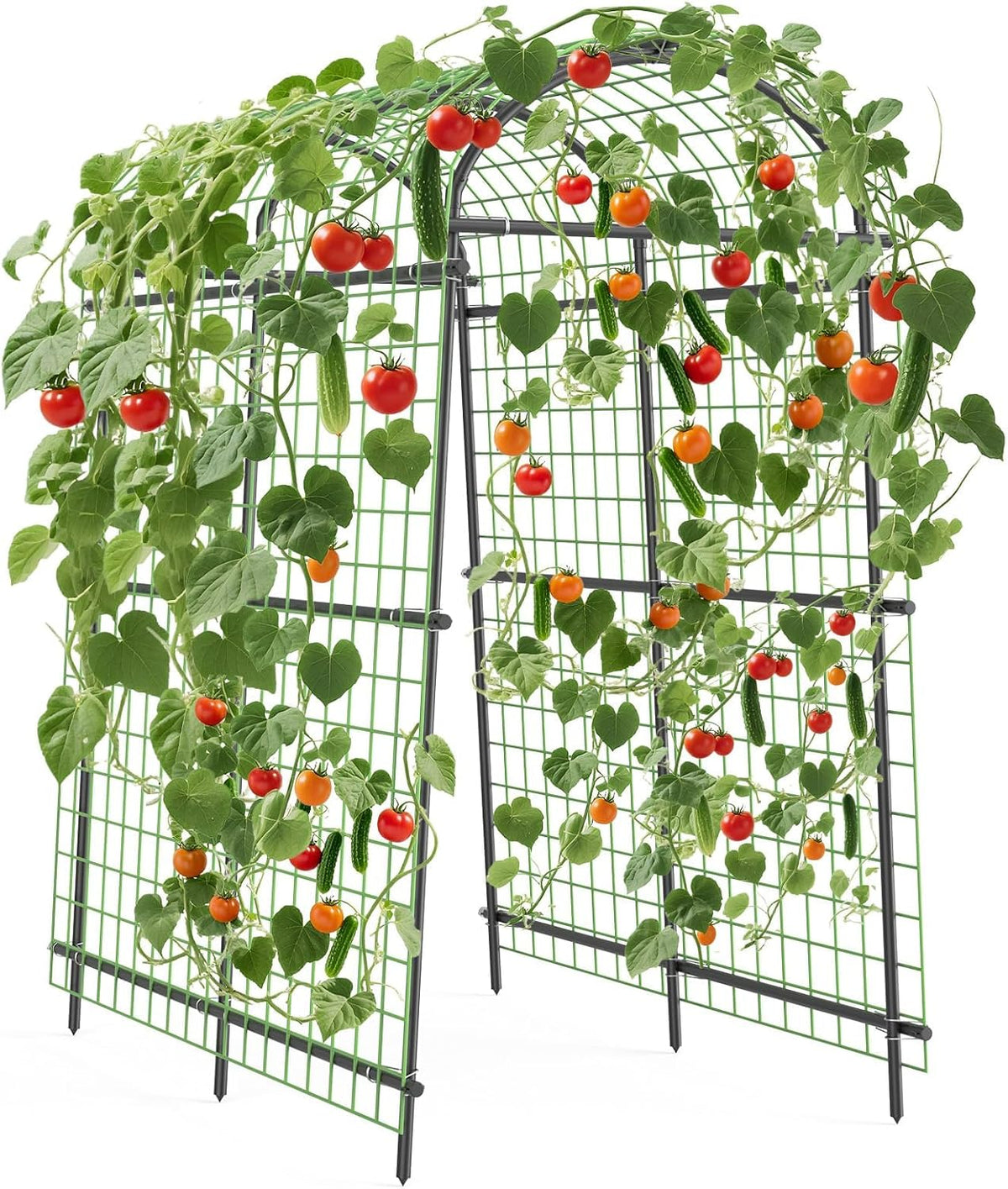 7.5FT Metal Garden Arch Trellis Arbor with Netting, Adjustable Width Pergola for Climbing Plants, Flowers, and Vegetables, Weather-Resistant, Easy Assembly for Outdoor Weddings & Events