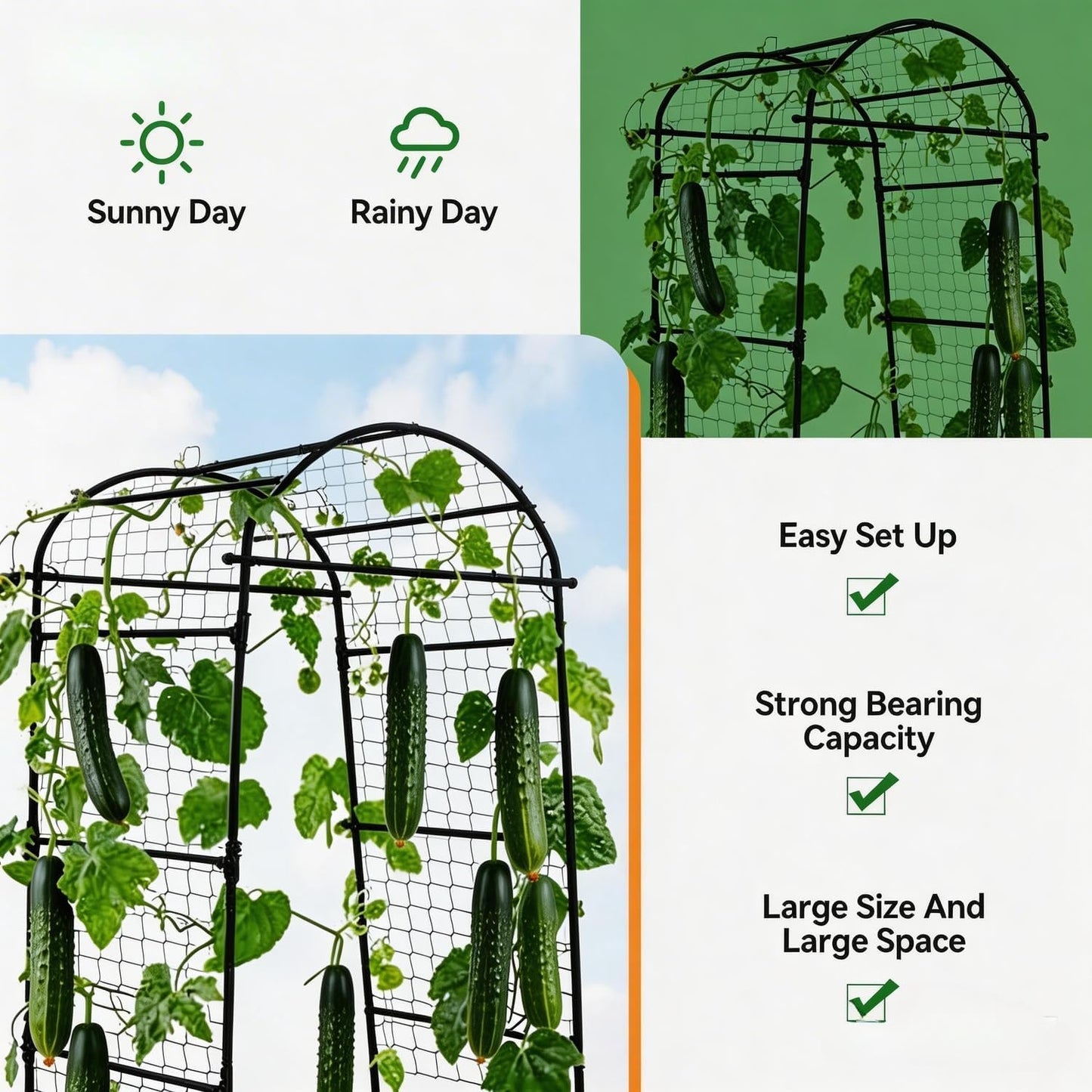 7.5FT Metal Garden Arch Trellis Arbor with Netting, Adjustable Width Pergola for Climbing Plants, Flowers, and Vegetables, Weather-Resistant, Easy Assembly for Outdoor Weddings & Events