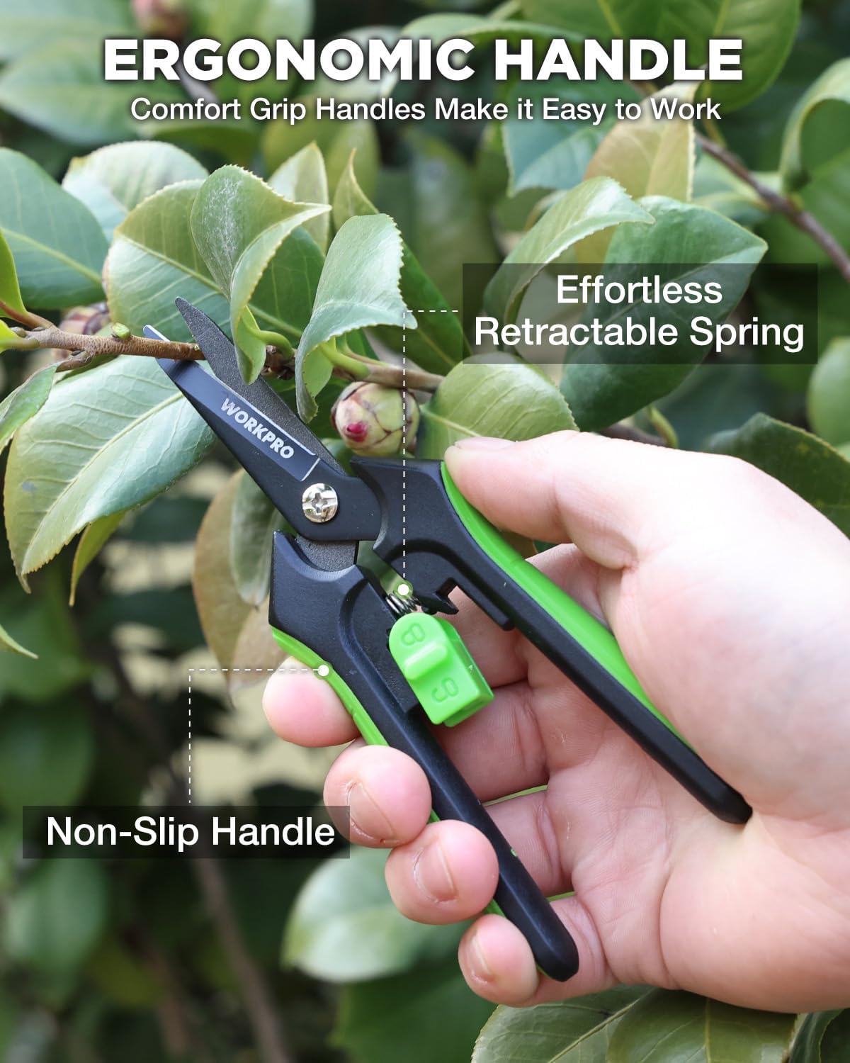 2-Pack 6-Inch Garden Pruning Shears