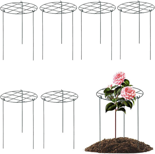 Peony Cages and Supports, Pack of 6 Metal Grow Through Plant Support Stakes Grid Plant Brace Flower Support Rings Hoops with 3 Pcs Legs for Flowers, Peonies, Rose, Lily (16in)