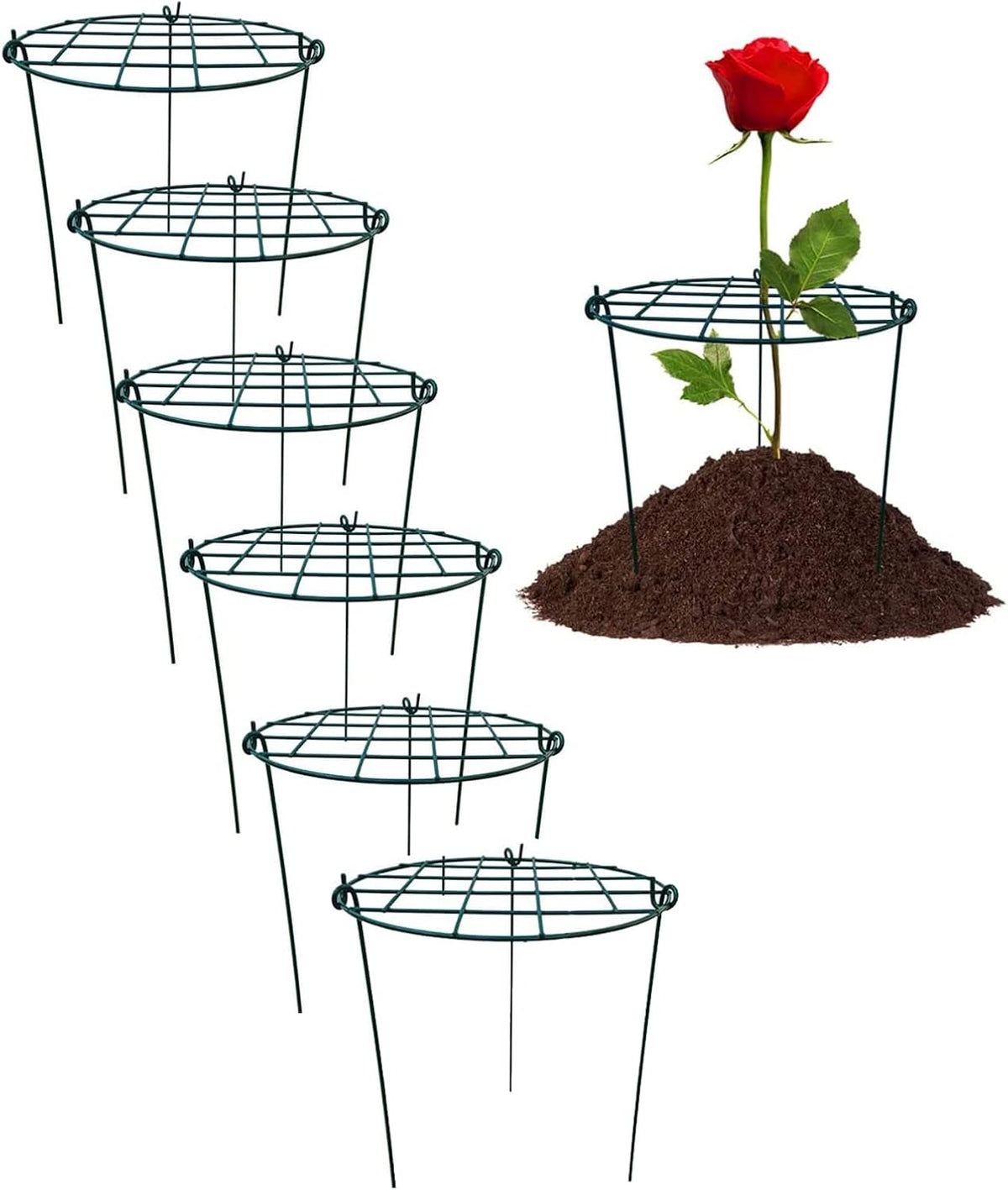 Peony Cages and Supports, Pack of 6 Metal Grow Through Plant Support Stakes Grid Plant Brace Flower Support Rings Hoops with 3 Pcs Legs for Flowers, Peonies, Rose, Lily (16in)