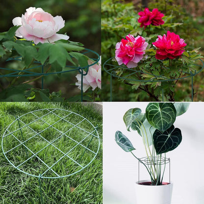 Peony Cages and Supports, Pack of 6 Metal Grow Through Plant Support Stakes Grid Plant Brace Flower Support Rings Hoops with 3 Pcs Legs for Flowers, Peonies, Rose, Lily (16in)