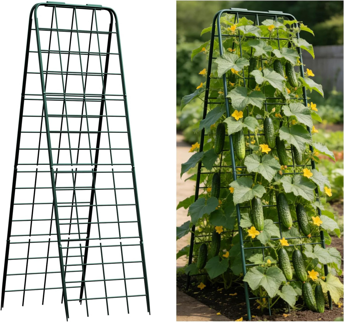 Heavy Duty Trellis for Climbing Plants, 50"x17" Adjustable Height Steel Cucumber Trellis, Powder Coated Metal Garden Trellis for Raised Beds,Tomatoes, Cucumbers & Outdoor Vines