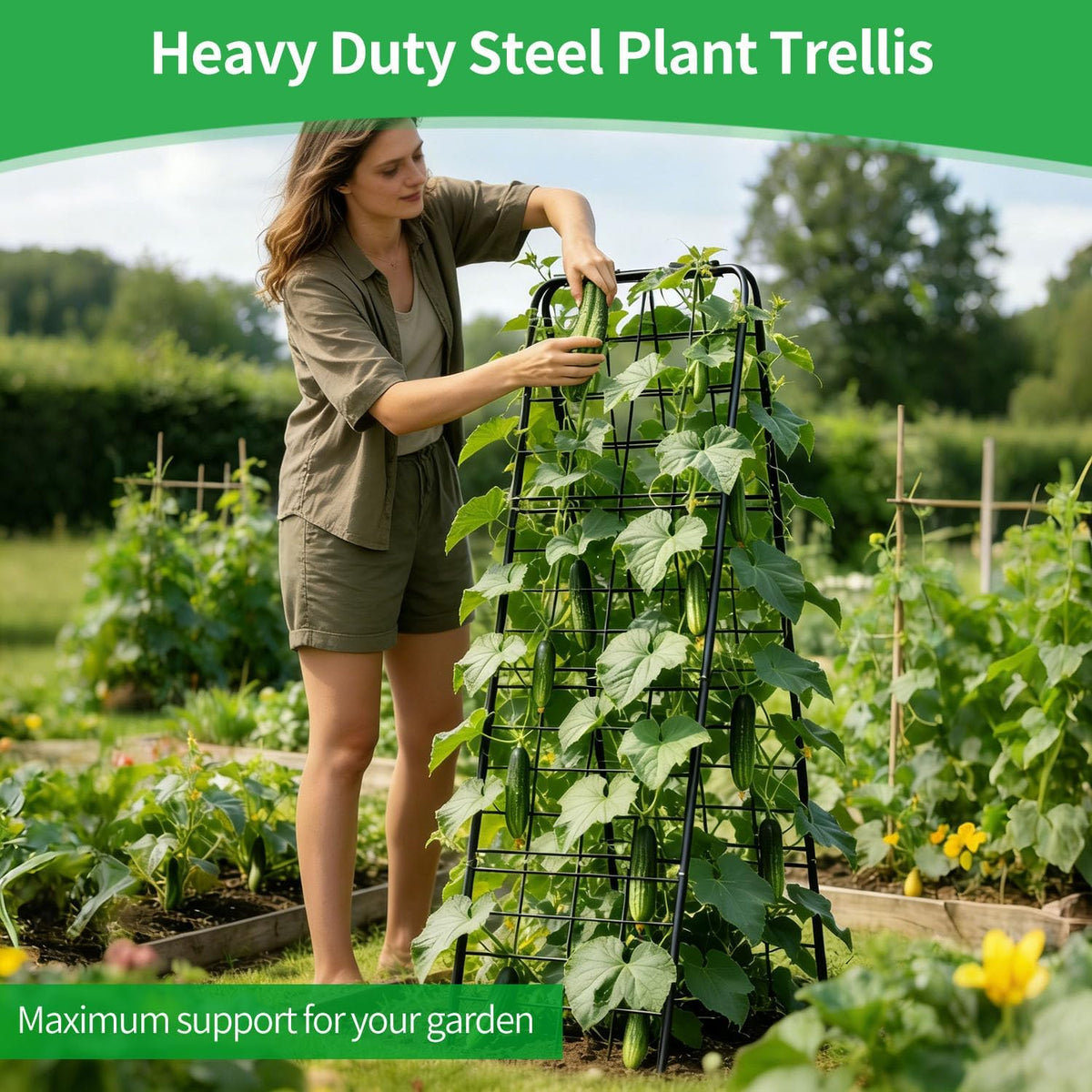 Heavy Duty Trellis for Climbing Plants, 50"x17" Adjustable Height Steel Cucumber Trellis, Powder Coated Metal Garden Trellis for Raised Beds,Tomatoes, Cucumbers & Outdoor Vines