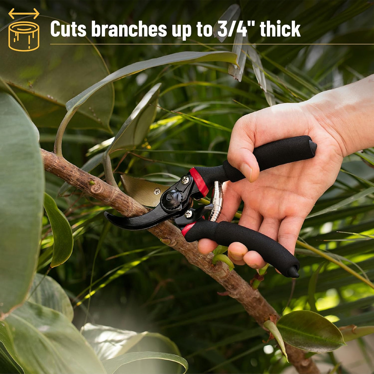 Pruning Shears, Garden Shears, 8" Professional, Titanium Blade