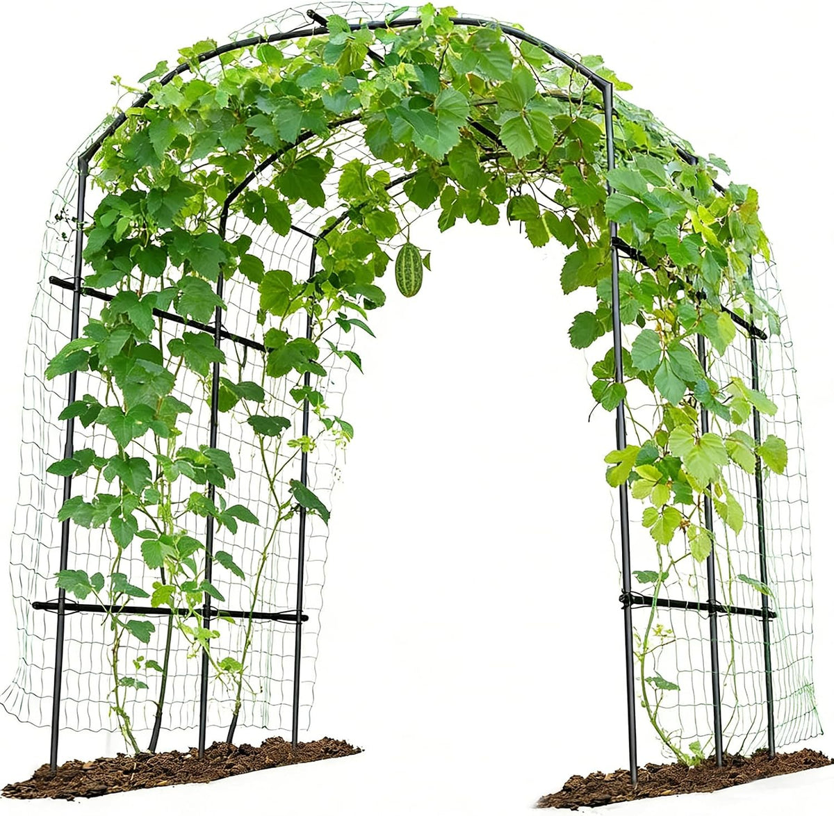 Tall Garden Arch Trellis for Climbing Plant, 87" H Metal Trellis Archway