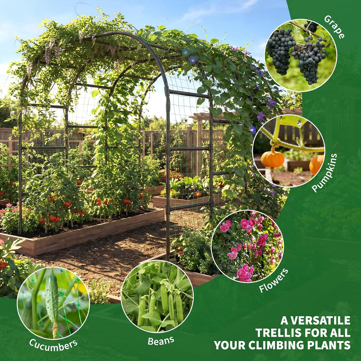 Tall Garden Arch Trellis for Climbing Plant, 87" H Metal Trellis Archway
