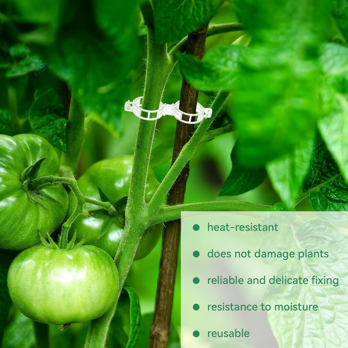 150 Pcs Plant Clips 0.25 Inch Hole for Climbing Tomato Grape Vine