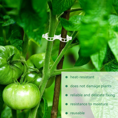 150 Pcs Plant Clips 0.25 Inch Hole for Climbing Tomato Grape Vine
