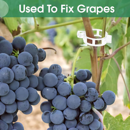 150 Pcs Plant Clips 0.25 Inch Hole for Climbing Tomato Grape Vine