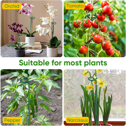 17 inch Plant Support Stakes, 4mm Thick Garden Single Stem Flower Support Stake Amaryllis Plant Cage Support Rings with 10 pcs Plant Clips for Tomato Orchid Lily Peony Rose Flower Stem-5 Pack
