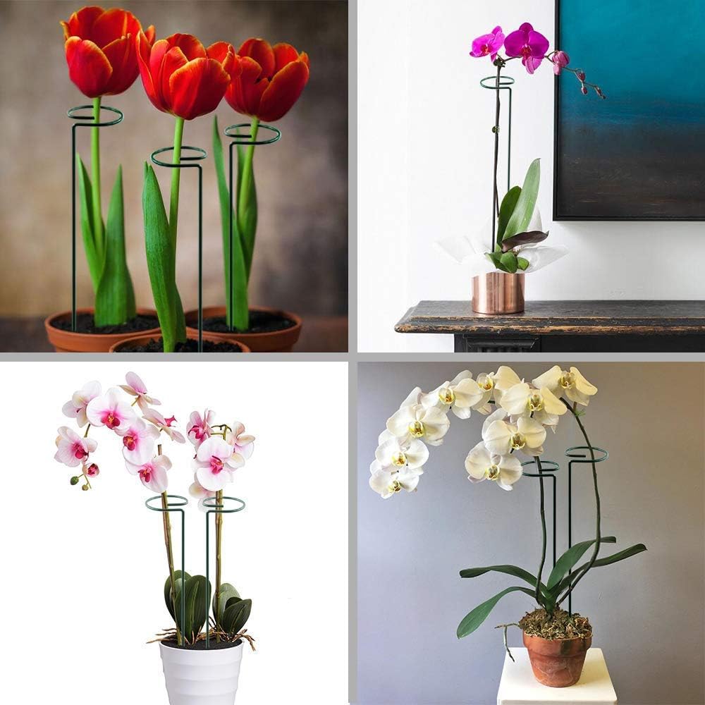 17 inch Plant Support Stakes, 4mm Thick Garden Single Stem Flower Support Stake Amaryllis Plant Cage Support Rings with 10 pcs Plant Clips for Tomato Orchid Lily Peony Rose Flower Stem-5 Pack