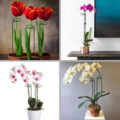 17 inch Plant Support Stakes, 4mm Thick Garden Single Stem Flower Support Stake Amaryllis Plant Cage Support Rings with 10 pcs Plant Clips for Tomato Orchid Lily Peony Rose Flower Stem-5 Pack