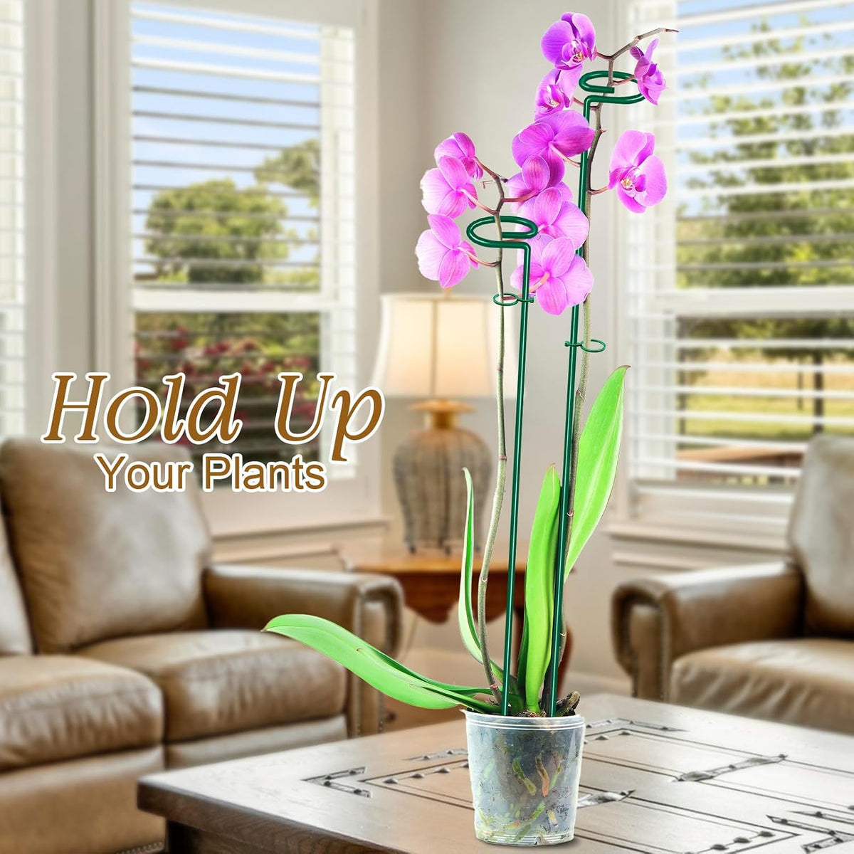 17 inch Plant Support Stakes, 4mm Thick Garden Single Stem Flower Support Stake Amaryllis Plant Cage Support Rings with 10 pcs Plant Clips for Tomato Orchid Lily Peony Rose Flower Stem-5 Pack