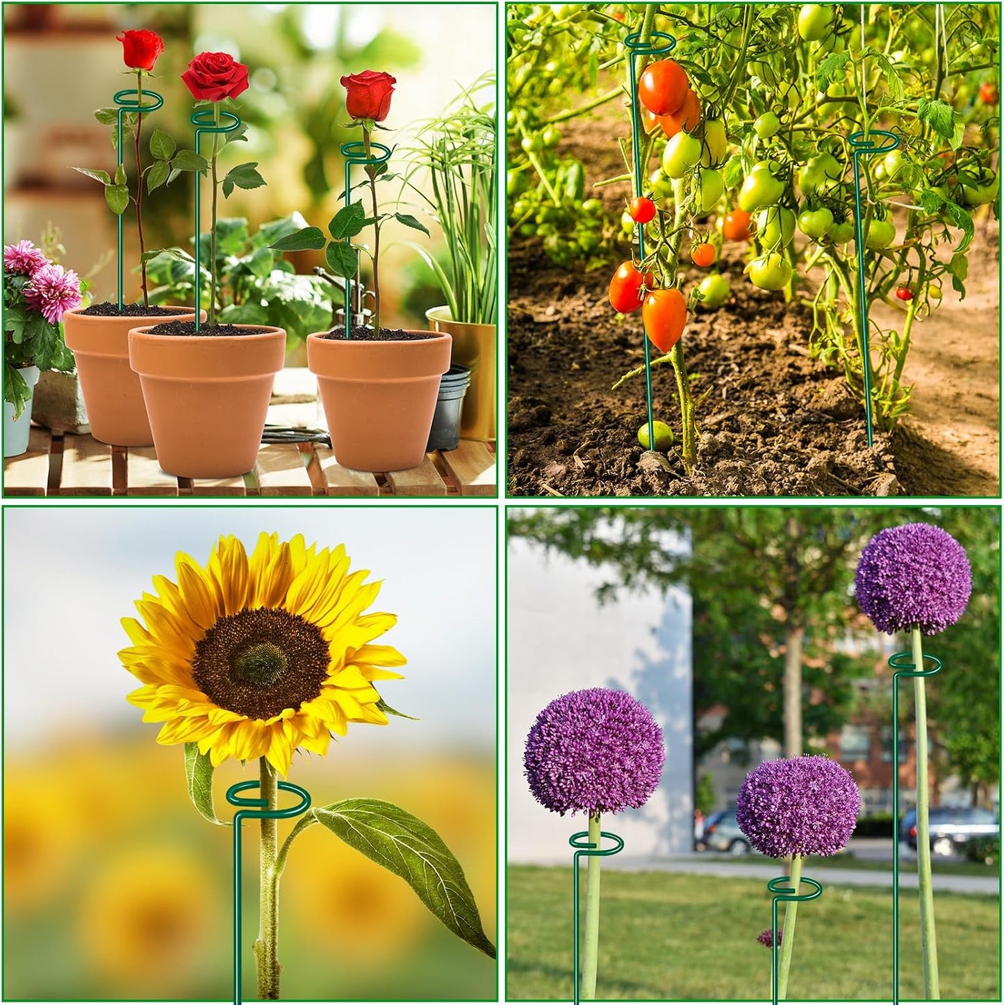 17 inch Plant Support Stakes, 4mm Thick Garden Single Stem Flower Support Stake Amaryllis Plant Cage Support Rings with 10 pcs Plant Clips for Tomato Orchid Lily Peony Rose Flower Stem-5 Pack