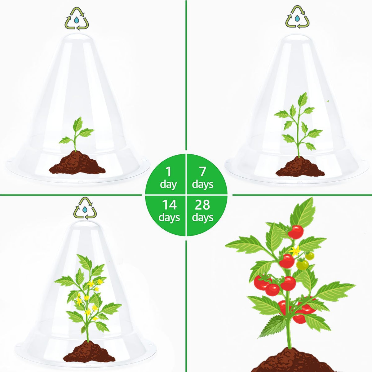 【36 Pieces】 Garden Cloches for Plants, Plant Cover Plant Protectors Transparent Bell Jar Cloche Protection Plants from Birds, Animals, Frost, Freeze Weather,7.8" D x 9.4" H, Transparent