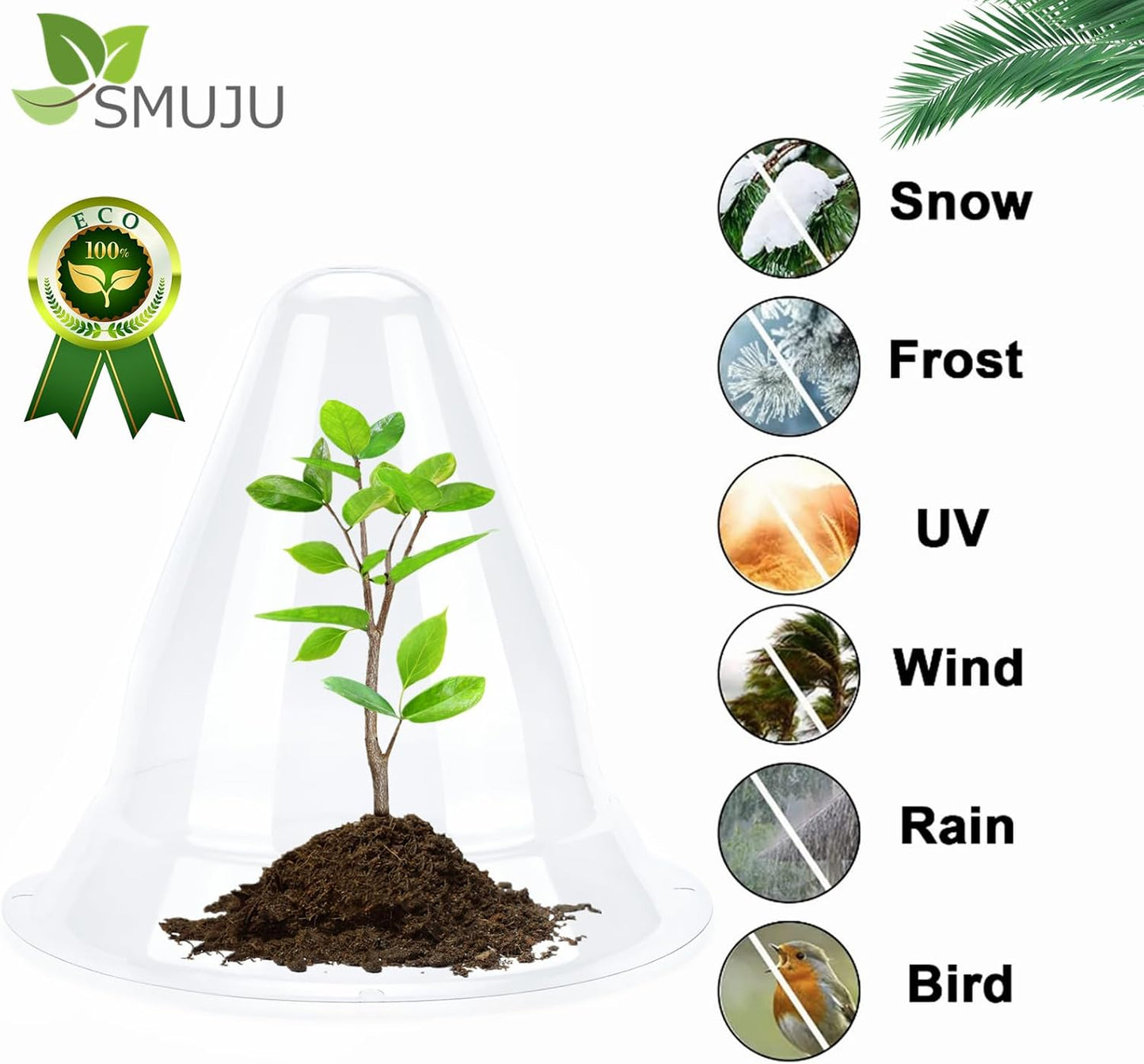 【36 Pieces】 Garden Cloches for Plants, Plant Cover Plant Protectors Transparent Bell Jar Cloche Protection Plants from Birds, Animals, Frost, Freeze Weather,7.8" D x 9.4" H, Transparent