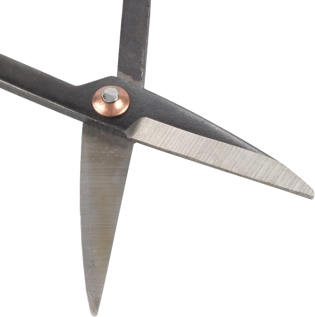 7.2" Black Bonsai Trimming Shear - 1 Piece