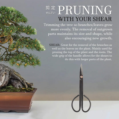 7.2" Black Bonsai Trimming Shear - 1 Piece