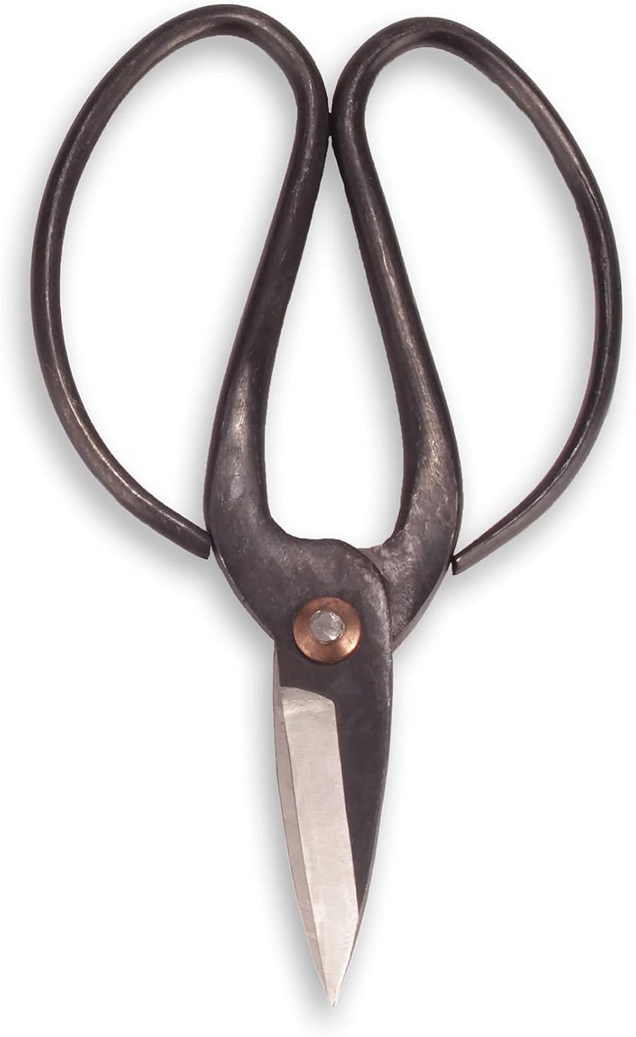 7.2" Black Bonsai Trimming Shear - 1 Piece