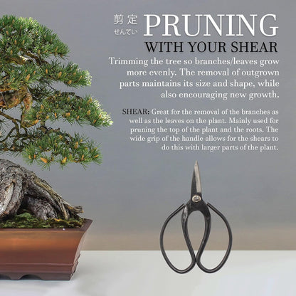 7.2" Black Bonsai Trimming Shear - 1 Piece