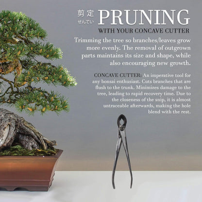 7.2" Black Bonsai Trimming Shear - 1 Piece
