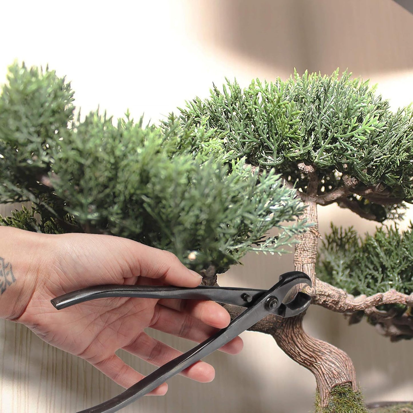 7.2" Black Bonsai Trimming Shear - 1 Piece