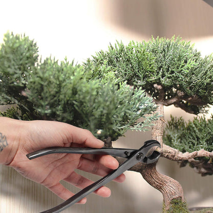 7.2" Black Bonsai Trimming Shear - 1 Piece