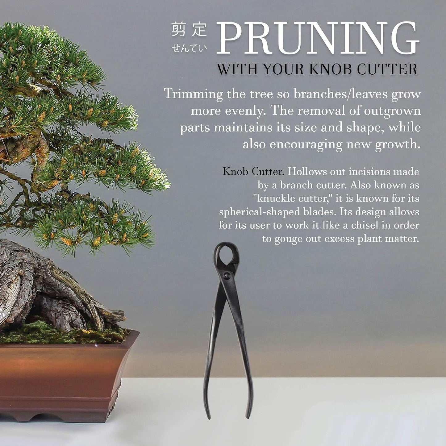 7.2" Black Bonsai Trimming Shear - 1 Piece