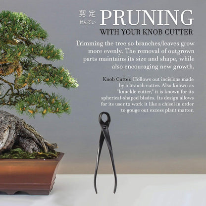 7.2" Black Bonsai Trimming Shear - 1 Piece