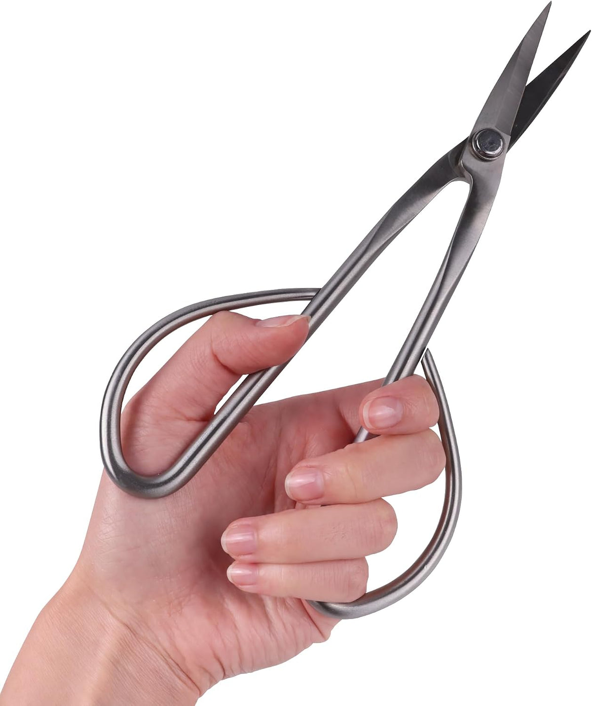 7.2" Black Bonsai Trimming Shear - 1 Piece