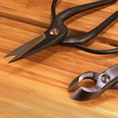 7.2" Black Bonsai Trimming Shear - 1 Piece