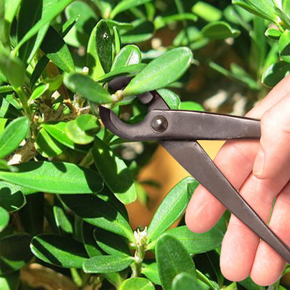 7.2" Black Bonsai Trimming Shear - 1 Piece