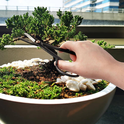 7.2" Black Bonsai Trimming Shear - 1 Piece