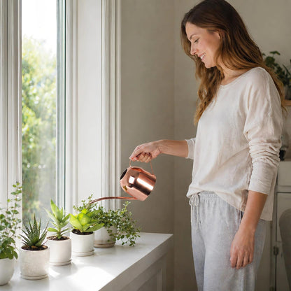 30oz Indoor Plant Watering Can Stainless Steel Long Spout, Rose Gold