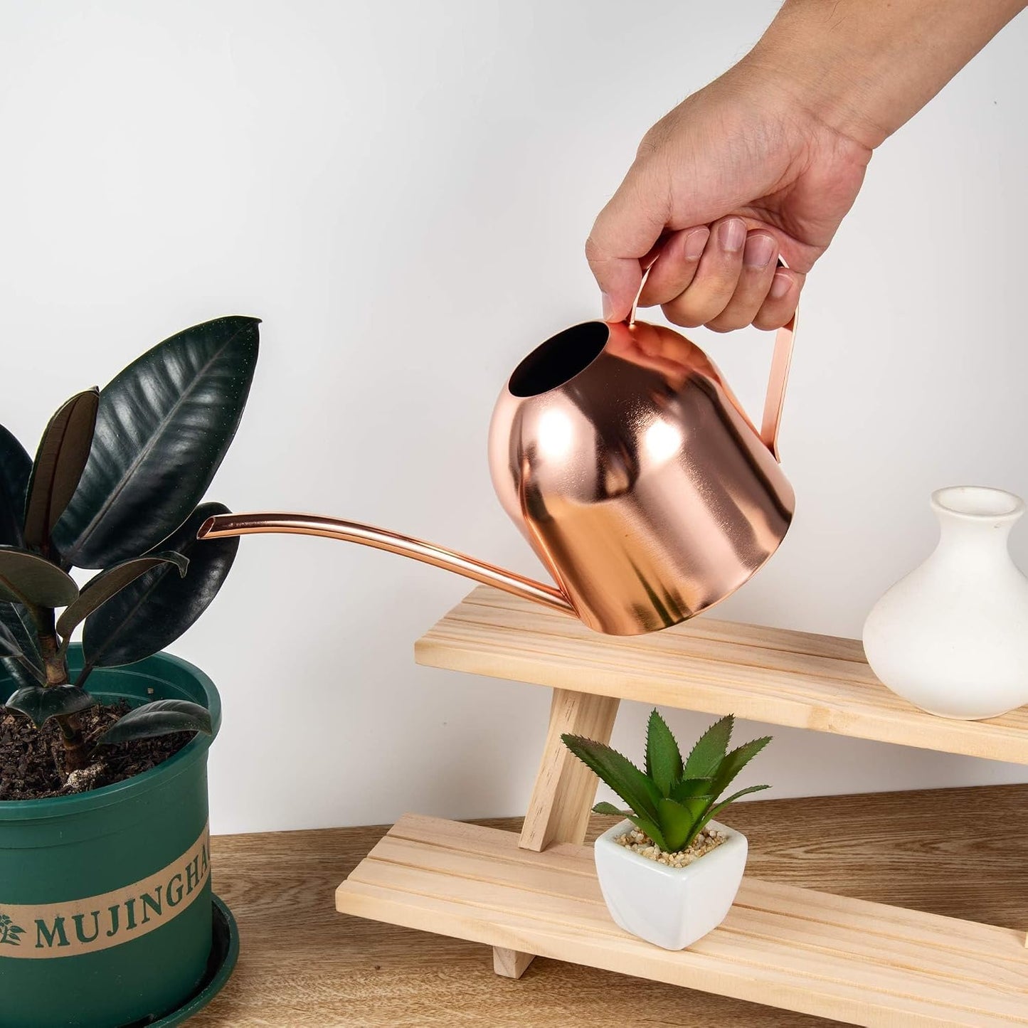 30oz Indoor Plant Watering Can Stainless Steel Long Spout, Rose Gold