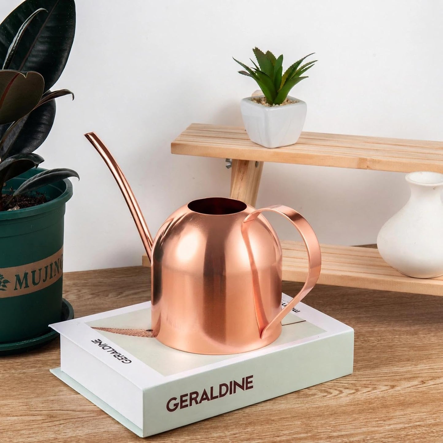 30oz Indoor Plant Watering Can Stainless Steel Long Spout, Rose Gold