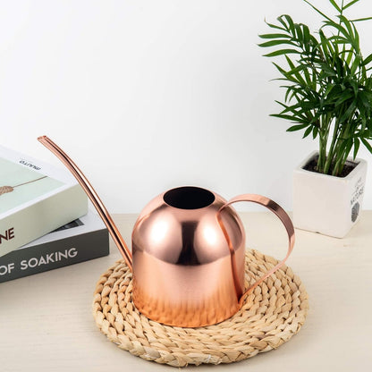 30oz Indoor Plant Watering Can Stainless Steel Long Spout, Rose Gold