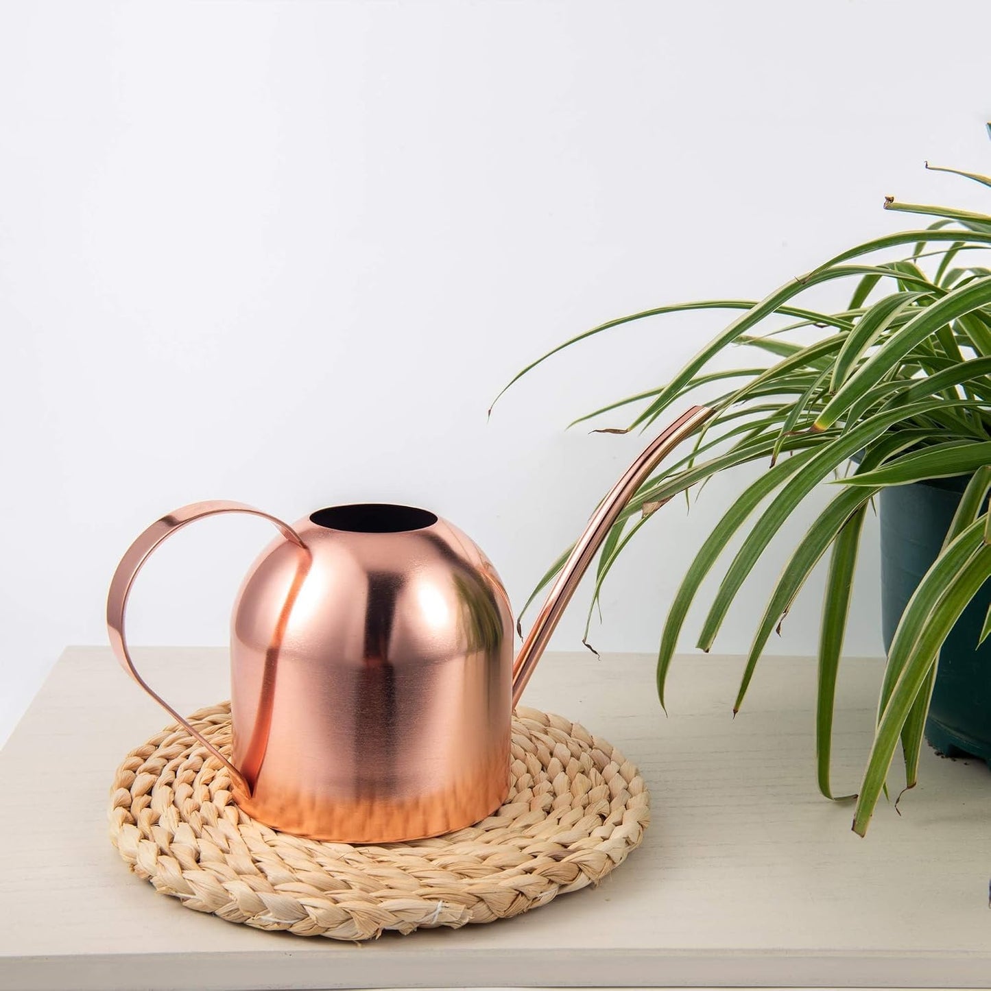 30oz Indoor Plant Watering Can Stainless Steel Long Spout, Rose Gold