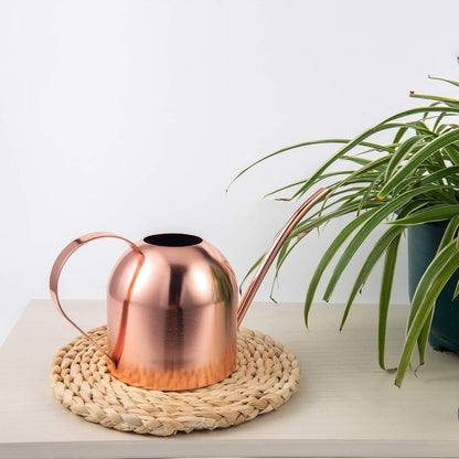 30oz Indoor Plant Watering Can Stainless Steel Long Spout, Rose Gold