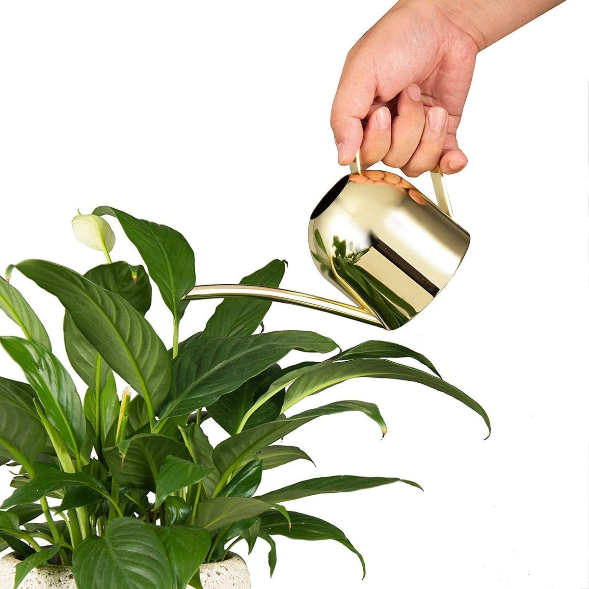 30oz Indoor Plant Watering Can Stainless Steel Long Spout, Rose Gold