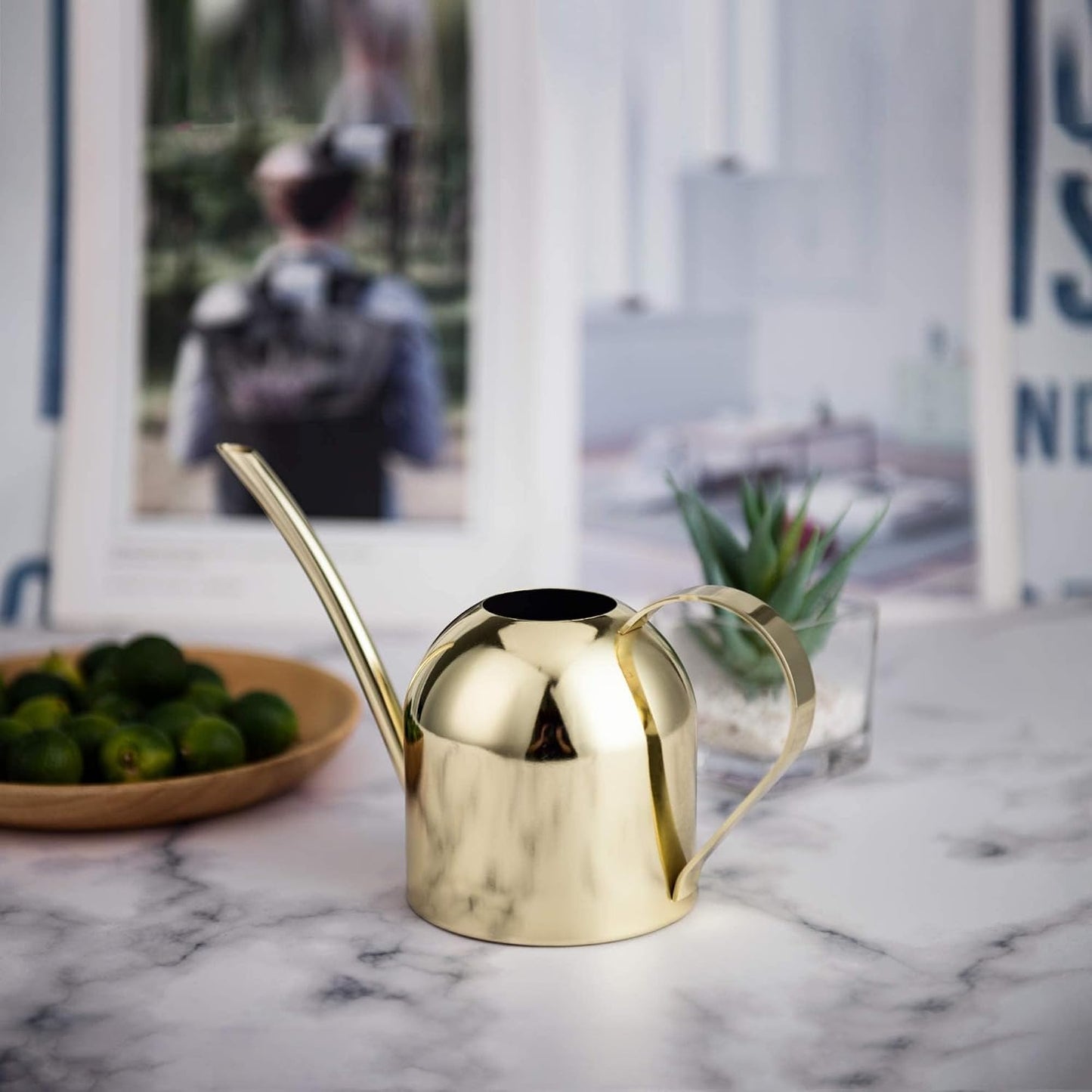 30oz Indoor Plant Watering Can Stainless Steel Long Spout, Rose Gold
