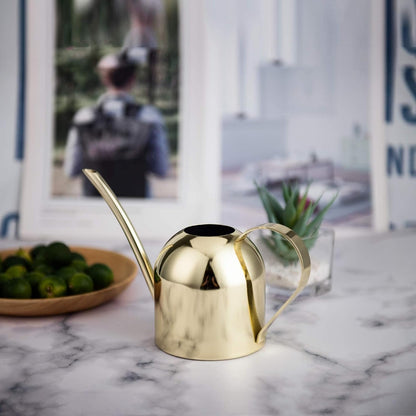30oz Indoor Plant Watering Can Stainless Steel Long Spout, Rose Gold