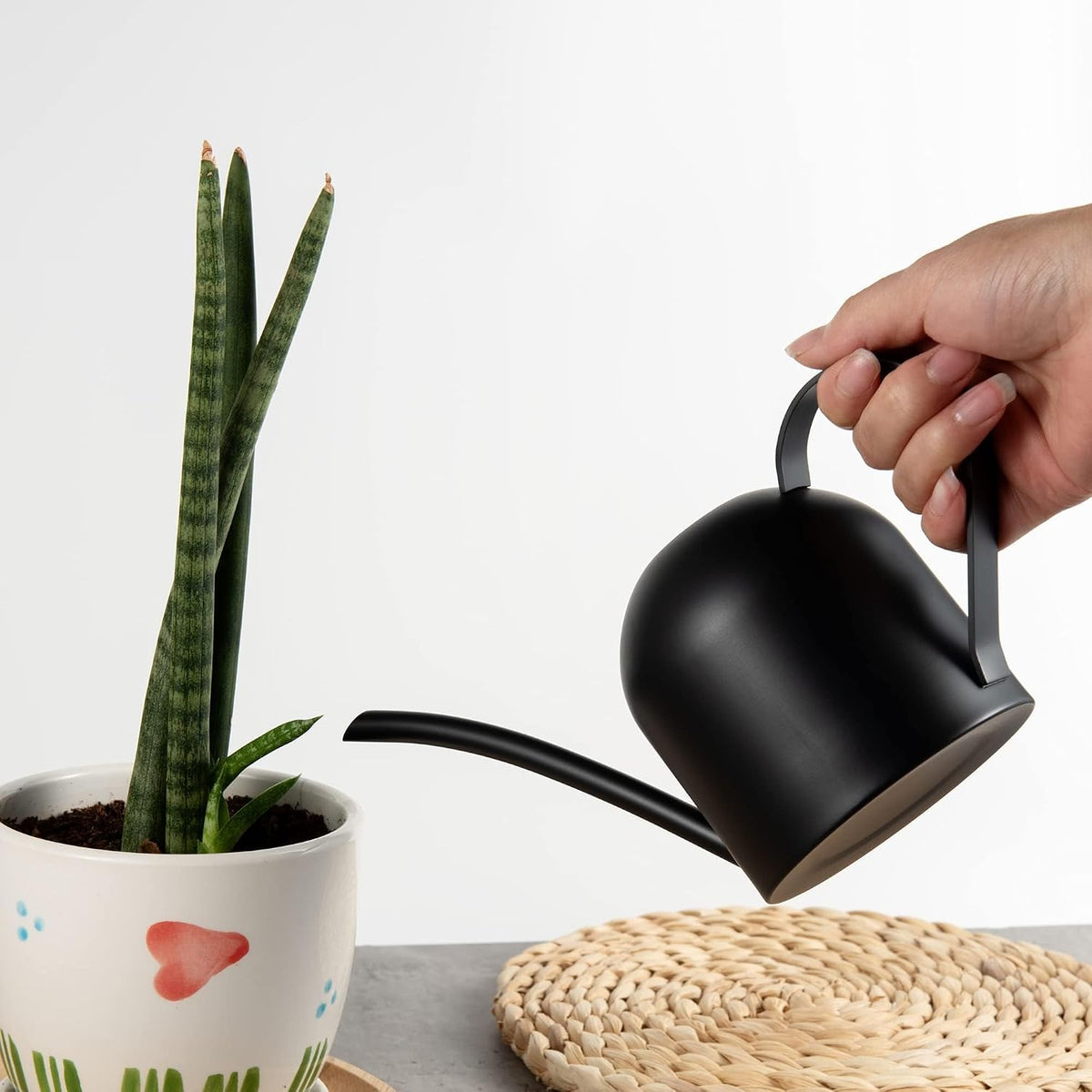 30oz Indoor Plant Watering Can Stainless Steel Long Spout, Rose Gold