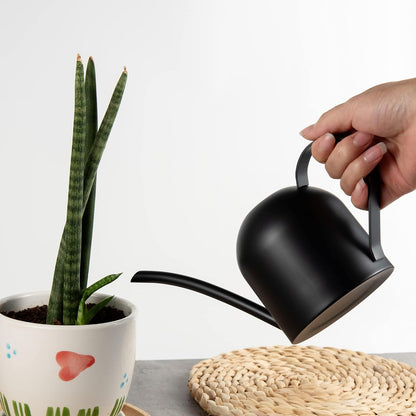 30oz Indoor Plant Watering Can Stainless Steel Long Spout, Rose Gold