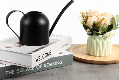 30oz Indoor Plant Watering Can Stainless Steel Long Spout, Rose Gold