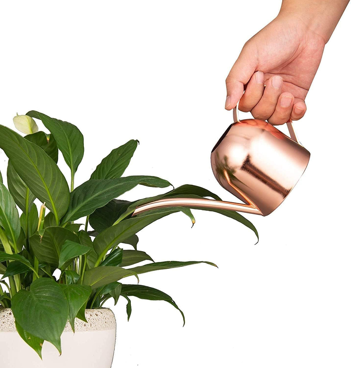 30oz Indoor Plant Watering Can Stainless Steel Long Spout, Rose Gold