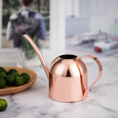30oz Indoor Plant Watering Can Stainless Steel Long Spout, Rose Gold
