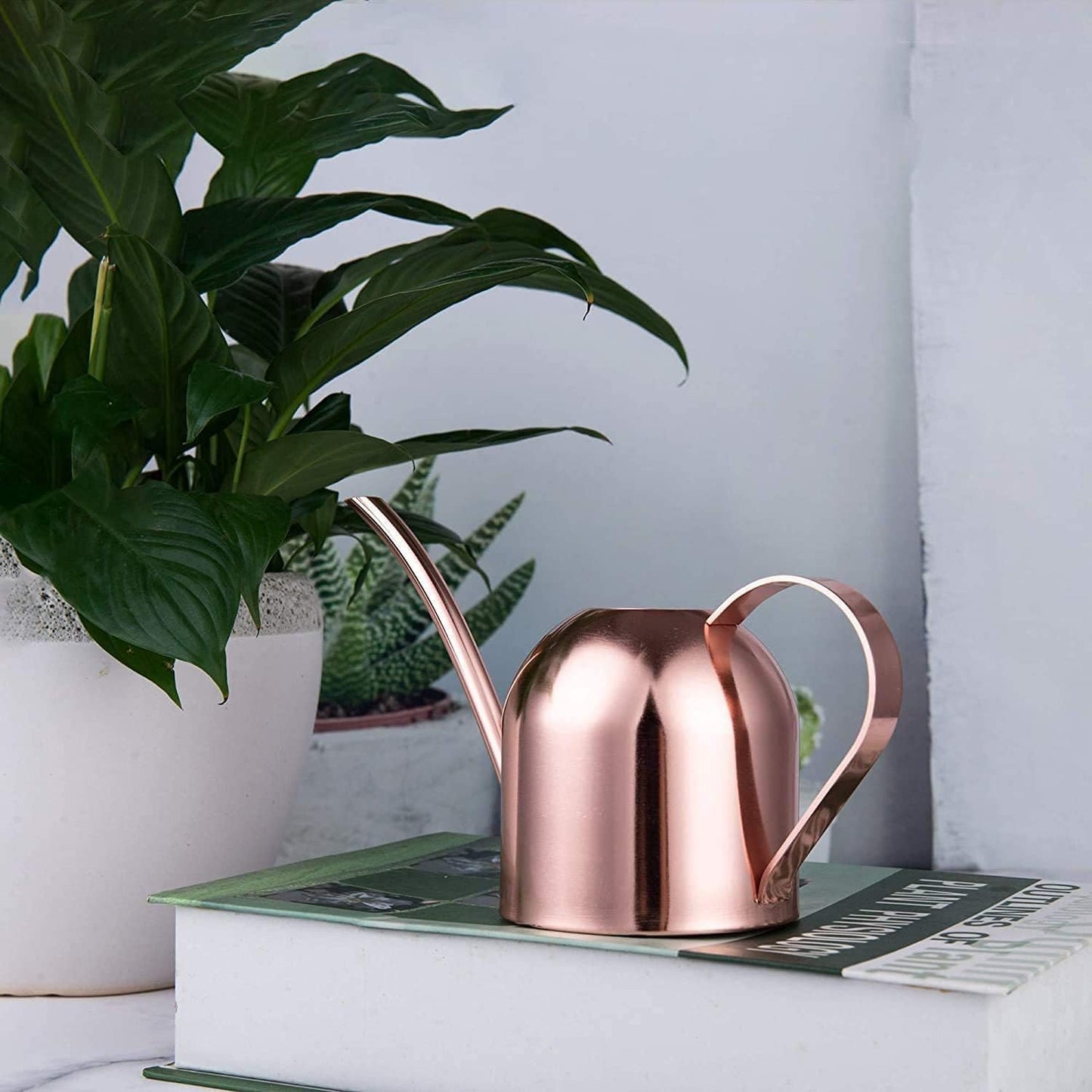 30oz Indoor Plant Watering Can Stainless Steel Long Spout, Rose Gold