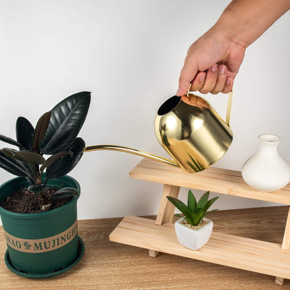 30oz Indoor Plant Watering Can Stainless Steel Long Spout, Rose Gold